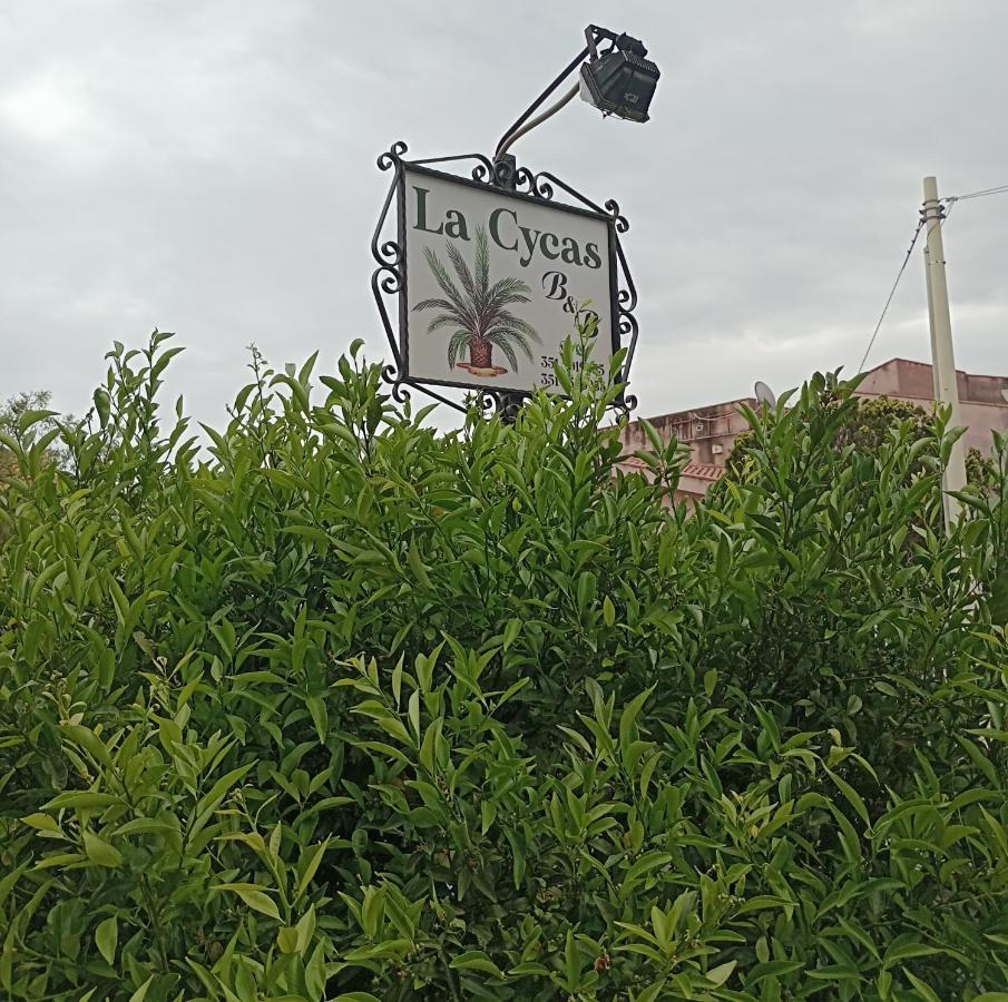 La Cycas Bed and Breakfast Trabia Buitenkant foto