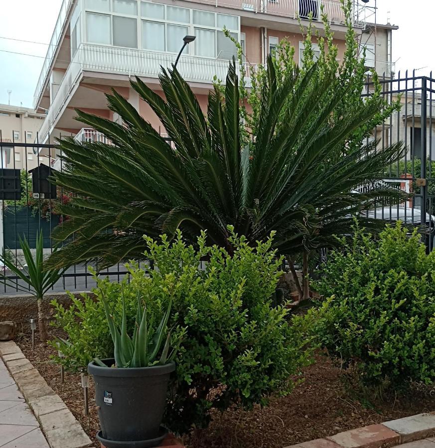 La Cycas Bed and Breakfast Trabia Buitenkant foto